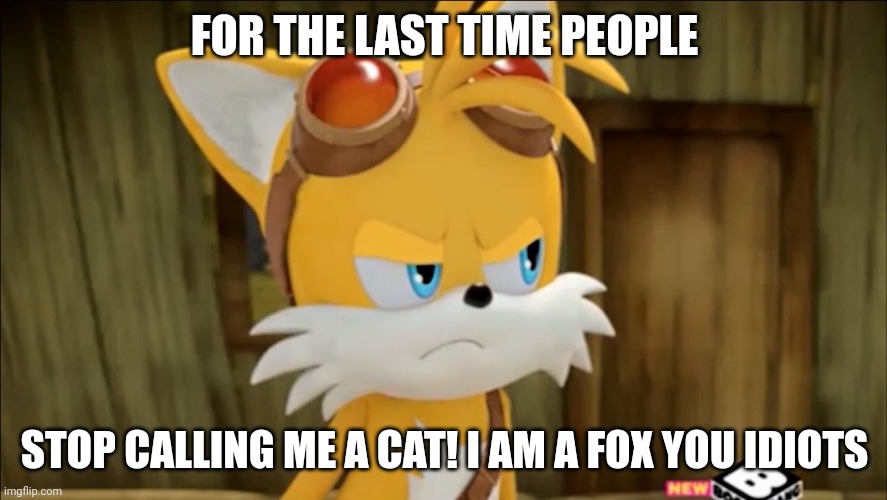 Tails says stop calling me a cat |  FOR THE LAST TIME PEOPLE; STOP CALLING ME A CAT! I AM A FOX YOU IDIOTS | image tagged in tails the fox,tails,cat,sonic the hedgehog | made w/ Imgflip meme maker