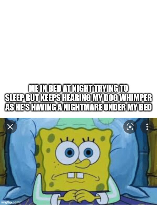 :( | ME IN BED AT NIGHT TRYING TO SLEEP BUT KEEPS HEARING MY DOG WHIMPER AS HE'S HAVING A NIGHTMARE UNDER MY BED | image tagged in blank white template | made w/ Imgflip meme maker