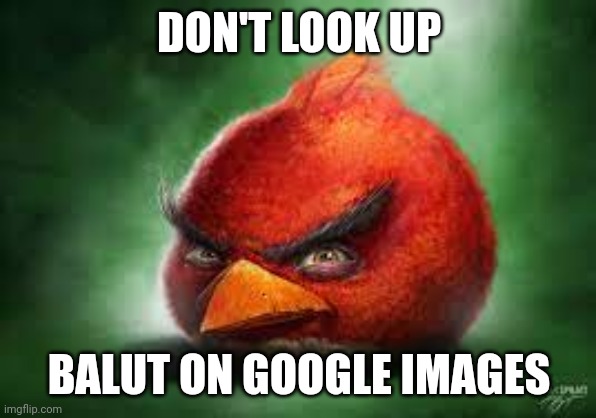 Realistic Red Angry Birds | DON'T LOOK UP; BALUT ON GOOGLE IMAGES | image tagged in realistic red angry birds | made w/ Imgflip meme maker