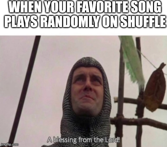 A blessing from the Lord! |  WHEN YOUR FAVORITE SONG PLAYS RANDOMLY ON SHUFFLE | image tagged in a blessing from the lord | made w/ Imgflip meme maker