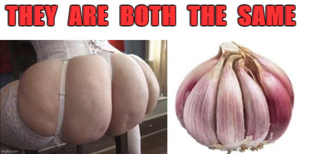 Both the same | THEY  ARE  BOTH  THE  SAME | image tagged in both the same,backside,suspenders,rear,garlic clove,fun | made w/ Imgflip meme maker