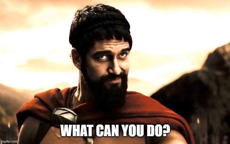 Leonidas 300 | WHAT CAN YOU DO? | image tagged in leonidas 300 | made w/ Imgflip meme maker