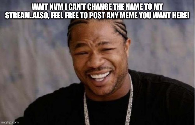 Yo Dawg Heard You | WAIT NVM I CAN’T CHANGE THE NAME TO MY STREAM..ALSO, FEEL FREE TO POST ANY MEME YOU WANT HERE! | image tagged in memes,yo dawg heard you | made w/ Imgflip meme maker