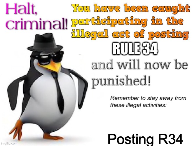 halt criminal! | RULE 34 Posting R34 | image tagged in halt criminal | made w/ Imgflip meme maker