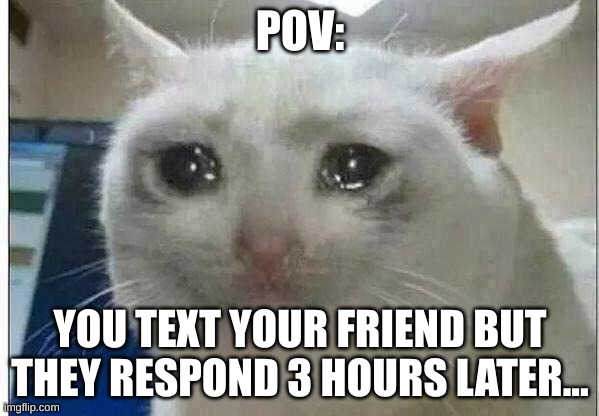 i hate when this happens | POV:; YOU TEXT YOUR FRIEND BUT THEY RESPOND 3 HOURS LATER... | image tagged in crying cat | made w/ Imgflip meme maker