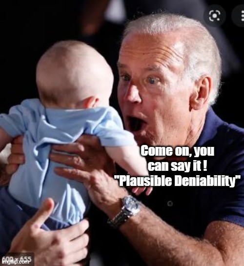 Come on, you can say it !
"Plausible Deniability" | made w/ Imgflip meme maker