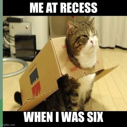 ME AT RECESS; WHEN I WAS SIX | image tagged in cats,box,outside | made w/ Imgflip meme maker