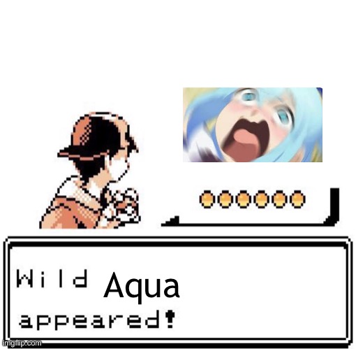 Blank Wild Pokemon Appears | Aqua | image tagged in blank wild pokemon appears | made w/ Imgflip meme maker