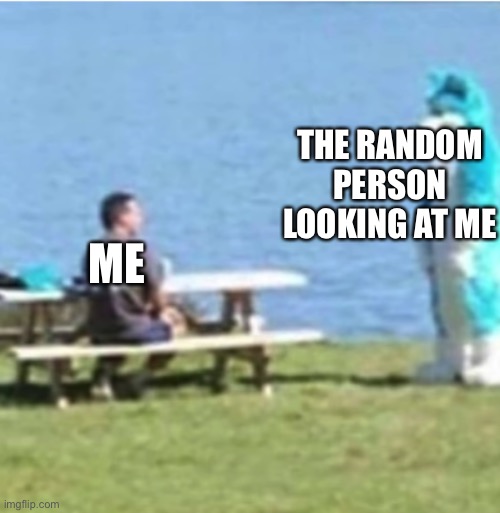 Furry Staring | THE RANDOM PERSON LOOKING AT ME; ME | image tagged in furry staring | made w/ Imgflip meme maker