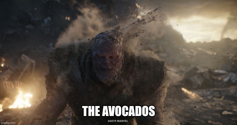 Thanos turns to dust | THE AVOCADOS | image tagged in thanos turns to dust | made w/ Imgflip meme maker