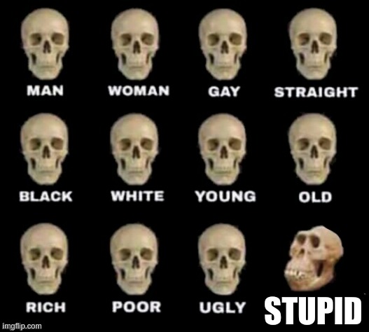 why? | STUPID | image tagged in idiot skull | made w/ Imgflip meme maker