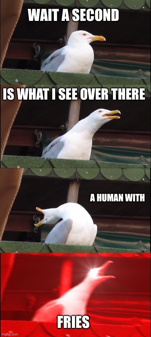 All the seagulls at the beach be like | WAIT A SECOND; IS WHAT I SEE OVER THERE; A HUMAN WITH; FRIES | image tagged in memes,inhaling seagull | made w/ Imgflip meme maker