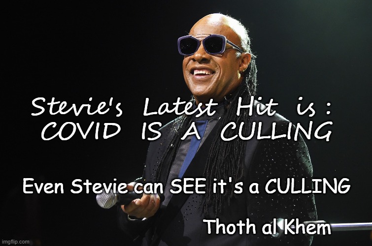 Covid is a CULLING | Stevie's  Latest  Hit  is : 
COVID  IS  A  CULLING; Even Stevie can SEE it's a CULLING
                                                              Thoth al Khem | image tagged in covidhoax,fake virus,culling | made w/ Imgflip meme maker