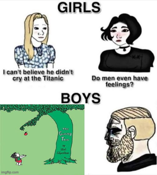 Such a wonderful and sad book | image tagged in do men even have feelings | made w/ Imgflip meme maker