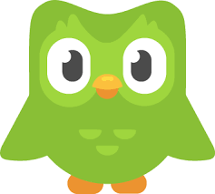 Duolingo OWL Blank Meme Template
