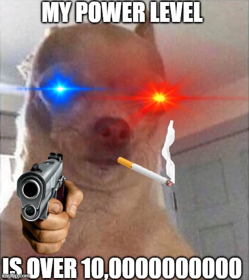 MY POWER LEVEL; IS OVER 10,0000000000 | image tagged in memes | made w/ Imgflip meme maker