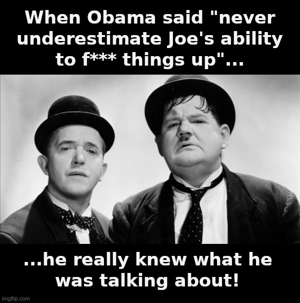 Joe Biden: Another Fine Mess | image tagged in joe biden,obama,laurel and hardy,another,fine,mess | made w/ Imgflip meme maker