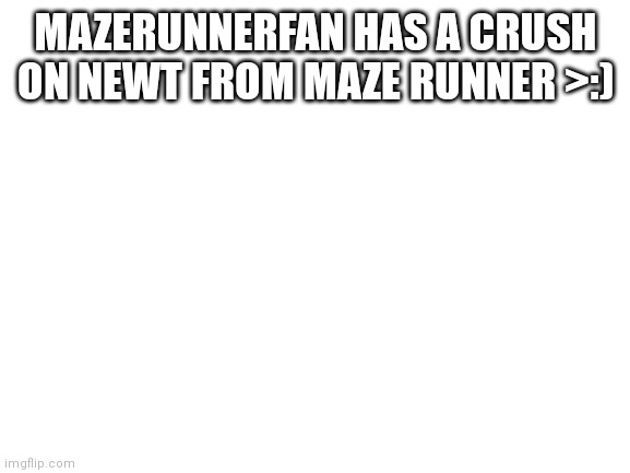 Lol | MAZERUNNERFAN HAS A CRUSH ON NEWT FROM MAZE RUNNER >:) | image tagged in blank white template | made w/ Imgflip meme maker