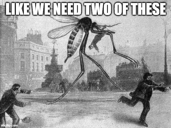 Mosquito Attack | LIKE WE NEED TWO OF THESE | image tagged in mosquito attack | made w/ Imgflip meme maker