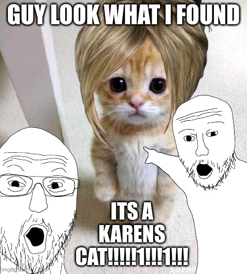 Karen cat | GUY LOOK WHAT I FOUND; ITS A KARENS CAT!!!!!1!!!1!!! | image tagged in cat,karen | made w/ Imgflip meme maker