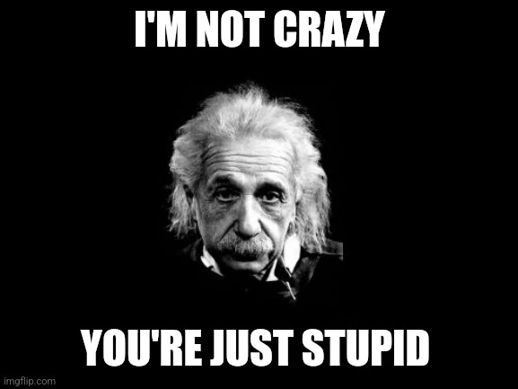 Albert Einstein 1 Meme | I'M NOT CRAZY; YOU'RE JUST STUPID | image tagged in memes,albert einstein 1 | made w/ Imgflip meme maker