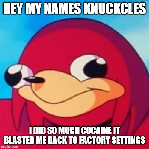 Ugandan Knuckles | HEY MY NAMES KNUCKCLES; I DID SO MUCH COCAINE IT BLASTED ME BACK TO FACTORY SETTINGS | image tagged in ugandan knuckles | made w/ Imgflip meme maker