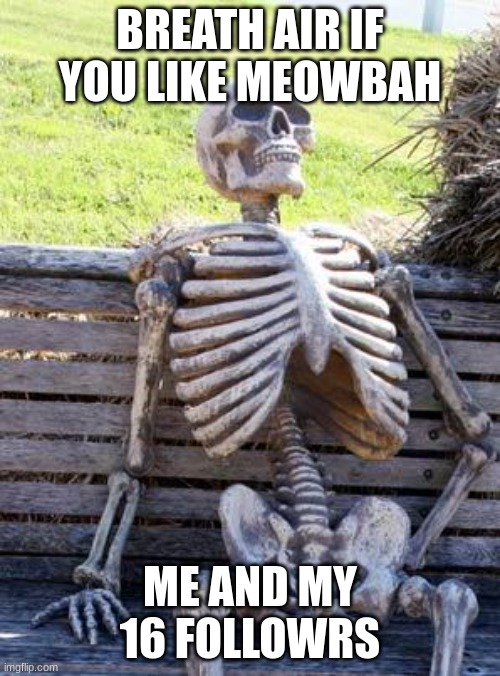 DED SKELETON | BREATH AIR IF YOU LIKE MEOWBAH; ME AND MY 16 FOLLOWRS | image tagged in memes,waiting skeleton | made w/ Imgflip meme maker