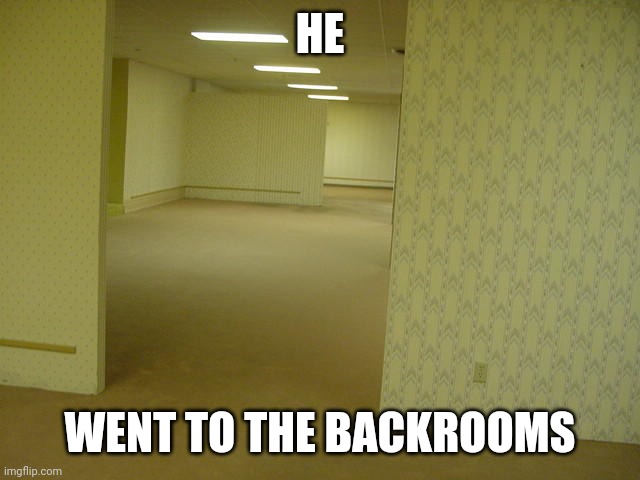 The Backrooms | HE WENT TO THE BACKROOMS | image tagged in the backrooms | made w/ Imgflip meme maker