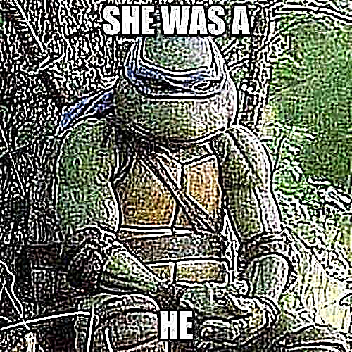 she was a he Blank Meme Template