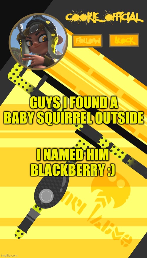Food | GUYS I FOUND A BABY SQUIRREL OUTSIDE; I NAMED HIM BLACKBERRY :) | image tagged in cookie_official s announcement template splatoon themed | made w/ Imgflip meme maker