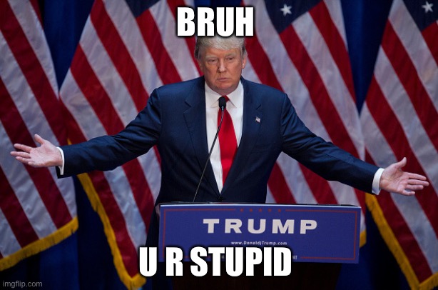 Donald Trump | BRUH; U R STUPID | image tagged in donald trump | made w/ Imgflip meme maker