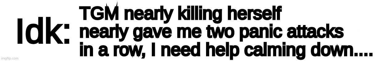 Text-Box | TGM nearly killing herself nearly gave me two panic attacks in a row, I need help calming down.... | image tagged in text-box,idk,stuff,s o u p,carck | made w/ Imgflip meme maker