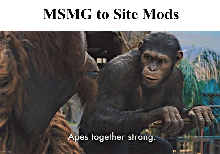 Why are we so united against site mods lol | MSMG to Site Mods | image tagged in ape together strong | made w/ Imgflip meme maker
