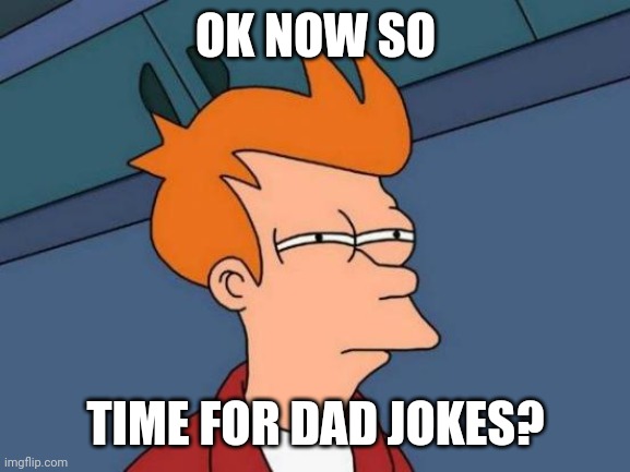 Futurama Fry Meme | OK NOW SO TIME FOR DAD JOKES? | image tagged in memes,futurama fry | made w/ Imgflip meme maker