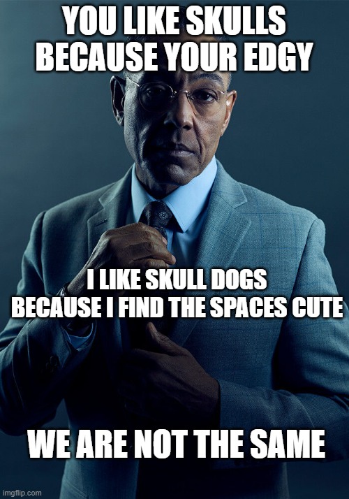 skull | YOU LIKE SKULLS BECAUSE YOUR EDGY; I LIKE SKULL DOGS BECAUSE I FIND THE SPACES CUTE; WE ARE NOT THE SAME | image tagged in gus fring we are not the same | made w/ Imgflip meme maker