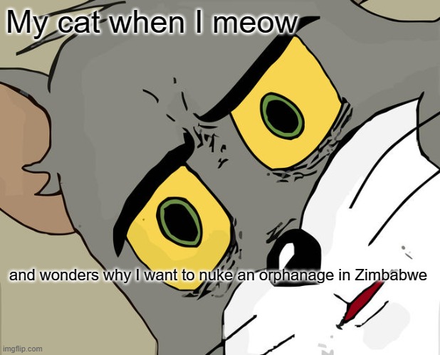 Unsettled Tom Meme | My cat when I meow; and wonders why I want to nuke an orphanage in Zimbabwe | image tagged in memes,unsettled tom | made w/ Imgflip meme maker