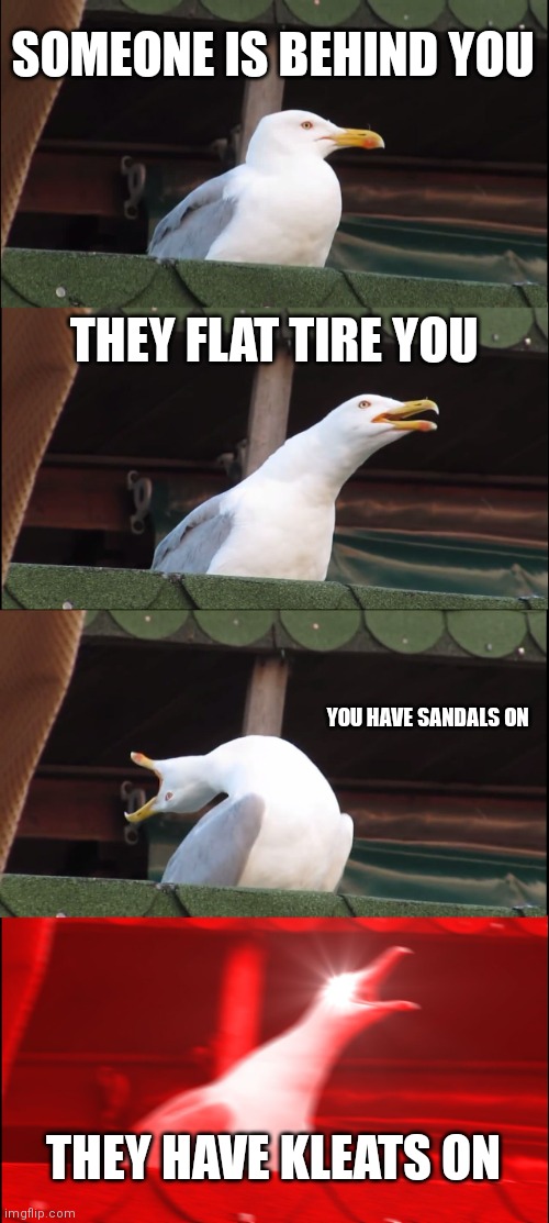 Inhaling Seagull | SOMEONE IS BEHIND YOU; THEY FLAT TIRE YOU; YOU HAVE SANDALS ON; THEY HAVE KLEATS ON | image tagged in memes,inhaling seagull | made w/ Imgflip meme maker