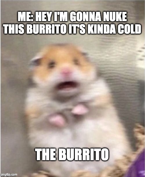 Nuclear missile inbound | ME: HEY I'M GONNA NUKE THIS BURRITO IT'S KINDA COLD; THE BURRITO | image tagged in scared hamster | made w/ Imgflip meme maker