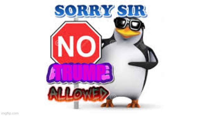 NO Anime Allowed | TRUMP | image tagged in no anime allowed | made w/ Imgflip meme maker