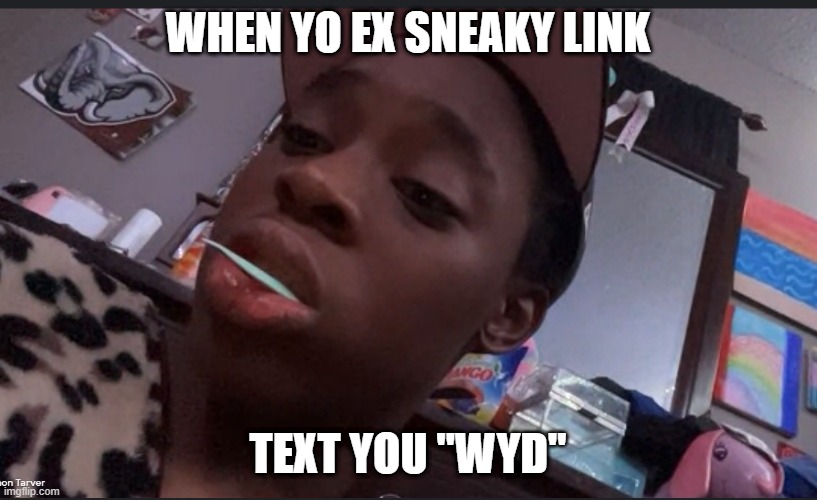 like frfrf | WHEN YO EX SNEAKY LINK; TEXT YOU "WYD" | image tagged in who df | made w/ Imgflip meme maker