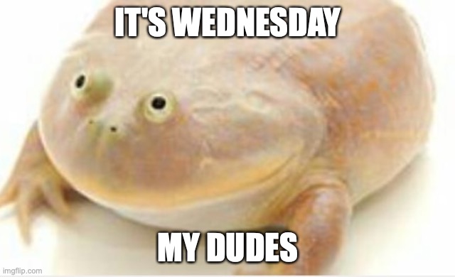 It's Wednesday my dudes | IT'S WEDNESDAY MY DUDES | image tagged in it's wednesday my dudes | made w/ Imgflip meme maker