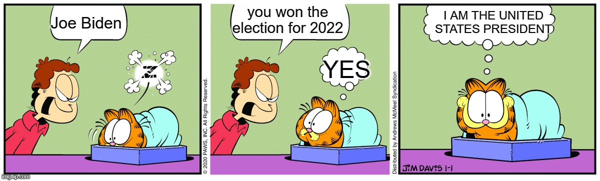 Joe Biden winning the 2022 Election in a nutshell (correction: 2020) | I AM THE UNITED STATES PRESIDENT; you won the election for 2022; Joe Biden; YES | image tagged in garfield sleeping | made w/ Imgflip meme maker