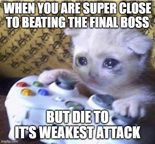 Sad gaming cat | WHEN YOU ARE SUPER CLOSE TO BEATING THE FINAL BOSS; BUT DIE TO IT'S WEAKEST ATTACK | image tagged in sad gaming cat | made w/ Imgflip meme maker
