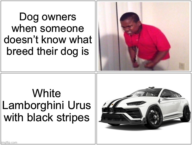. | Dog owners when someone doesn’t know what breed their dog is; White Lamborghini Urus with black stripes | image tagged in angry,slander,dog,memes,lamborghini,unexpected | made w/ Imgflip meme maker