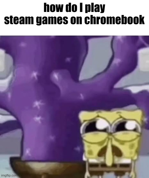 I got an account but idfk how to do anything | how do I play steam games on chromebook | image tagged in zad spunchbop | made w/ Imgflip meme maker