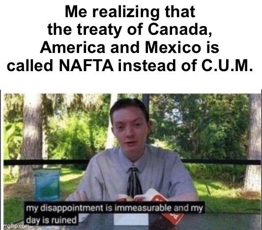 Would have been a good joke | Me realizing that the treaty of Canada, America and Mexico is called NAFTA instead of C.U.M. | image tagged in my dissapointment is immeasurable and my day is ruined,memes,funny | made w/ Imgflip meme maker