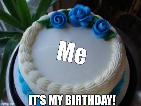 Yay it’s my b day | Me; IT’S MY BIRTHDAY! | image tagged in happy b-day ronat | made w/ Imgflip meme maker