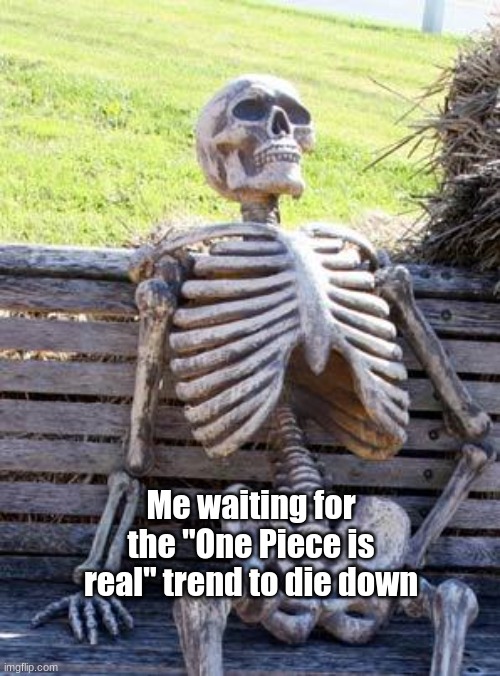 When will it? Who knows! | Me waiting for the "One Piece is real" trend to die down | image tagged in memes,waiting skeleton | made w/ Imgflip meme maker