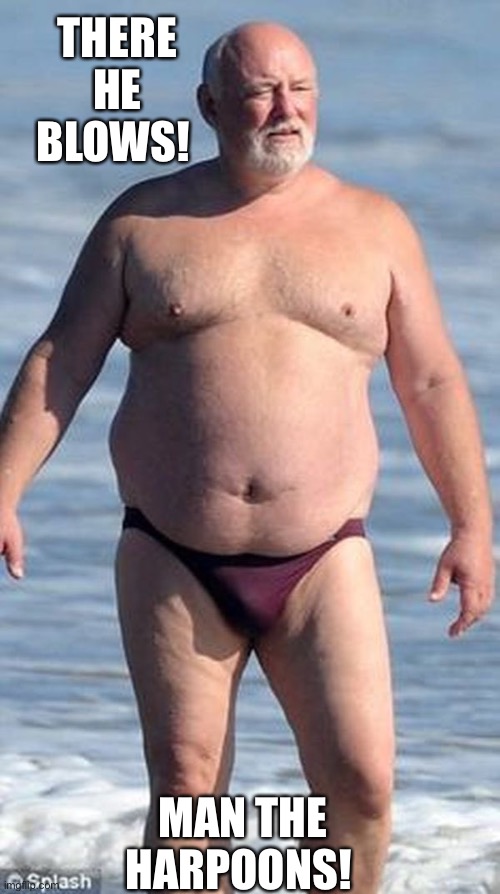 Rob Reiner | THERE HE BLOWS! MAN THE HARPOONS! | image tagged in rob reiner,funny memes,hollywood,whale,fat,swimsuit | made w/ Imgflip meme maker