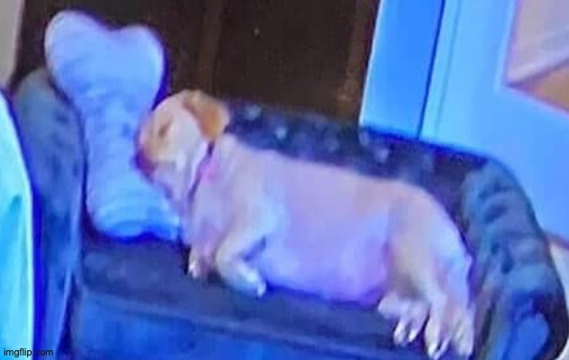 dads watching netflix: | made w/ Imgflip meme maker